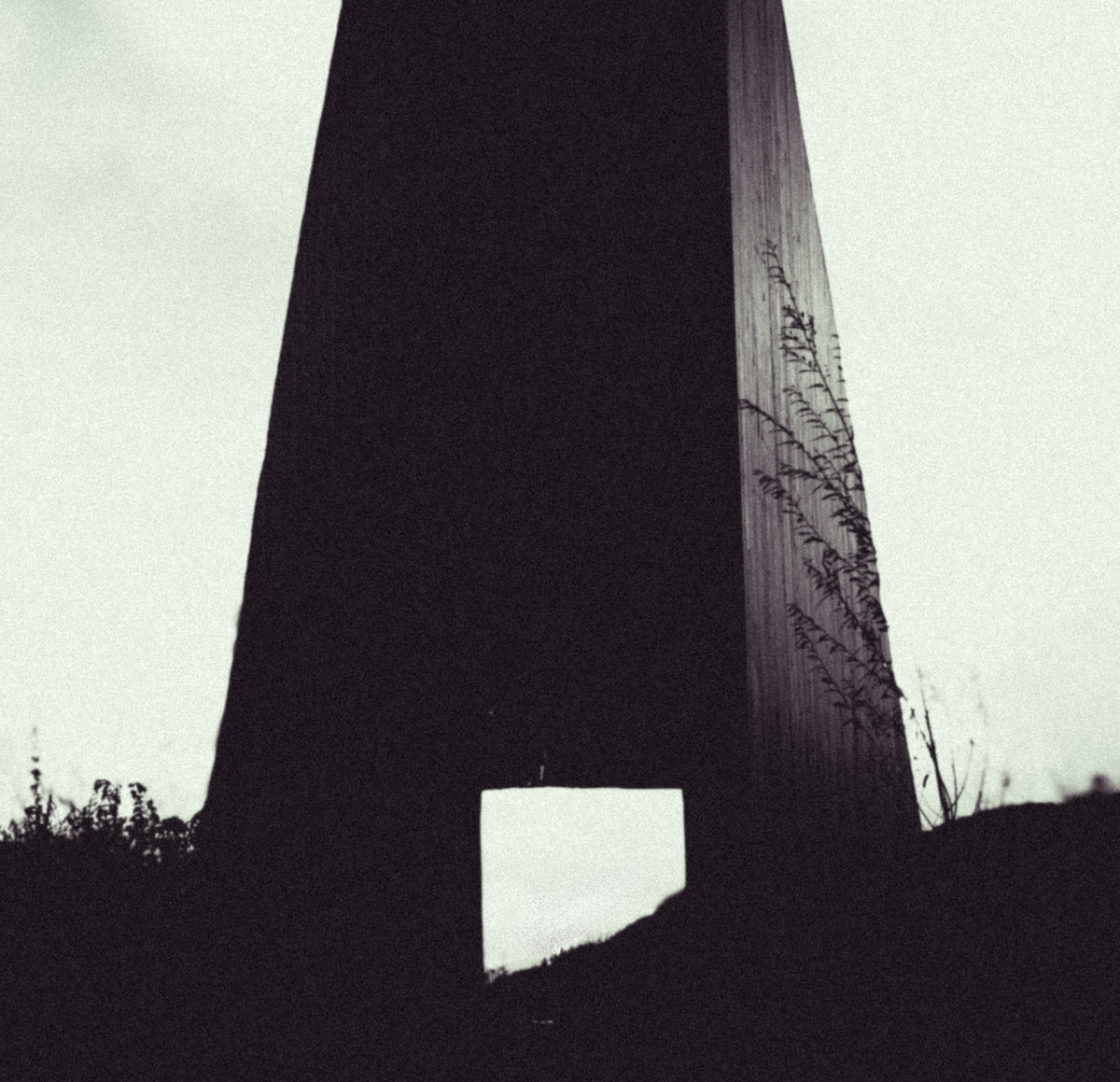 mast_img