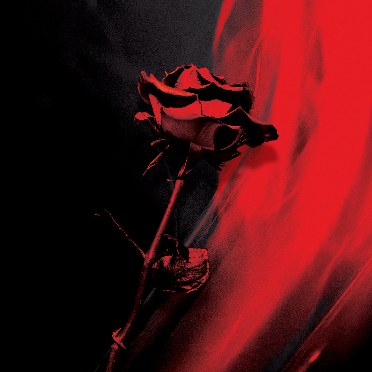 mast_img
